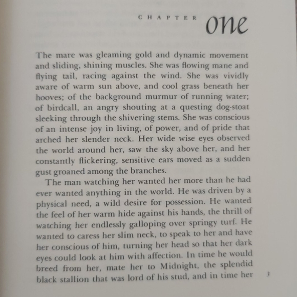 Zara - Picture 3 of 4